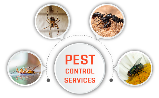 Nature Pest Services
